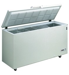 Eiscremetruhe FR 605SL - Esta