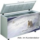 Tiefkühltruhe FR 405 - Esta